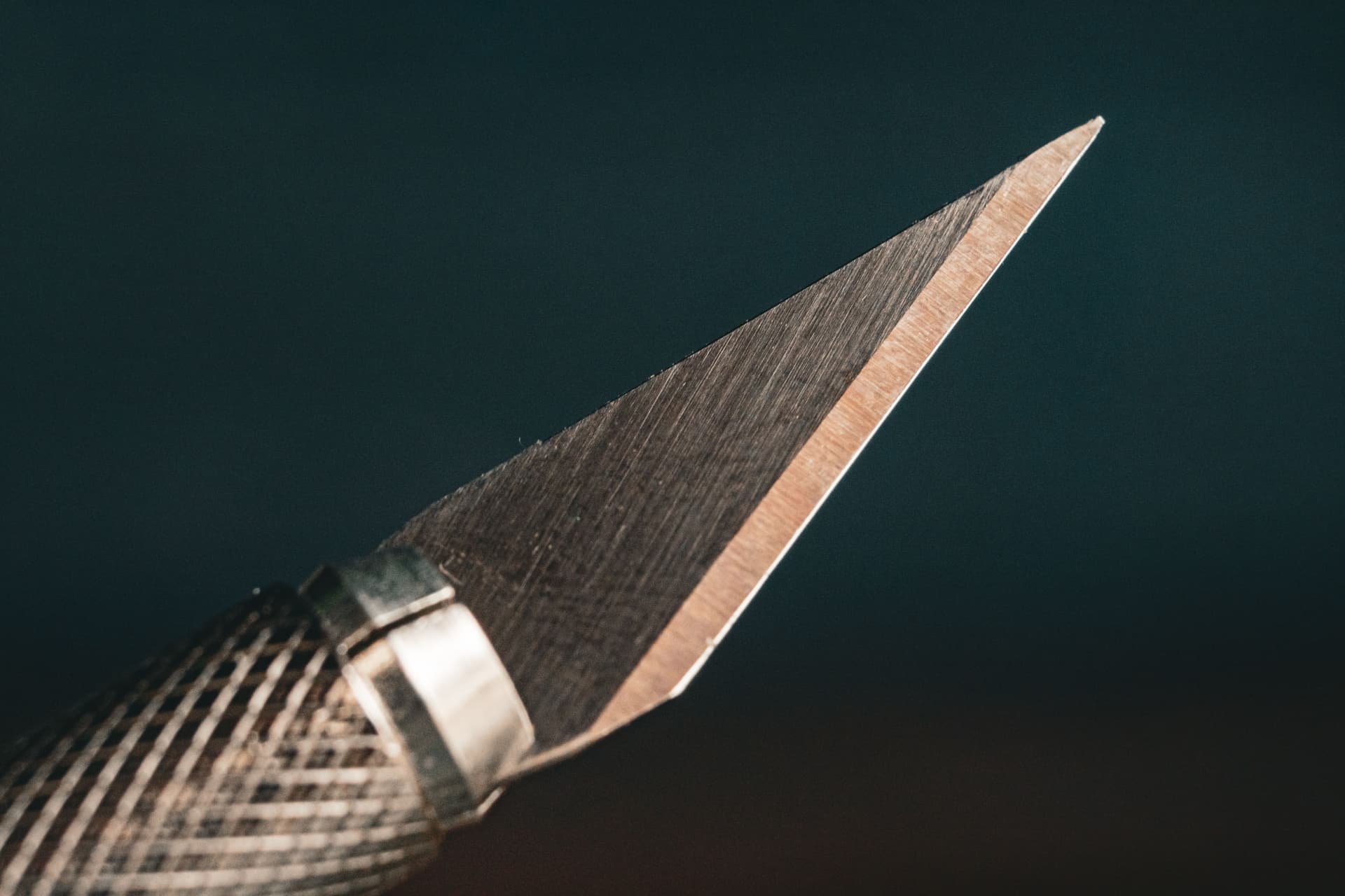 Close-up of a polished knife edge and spine